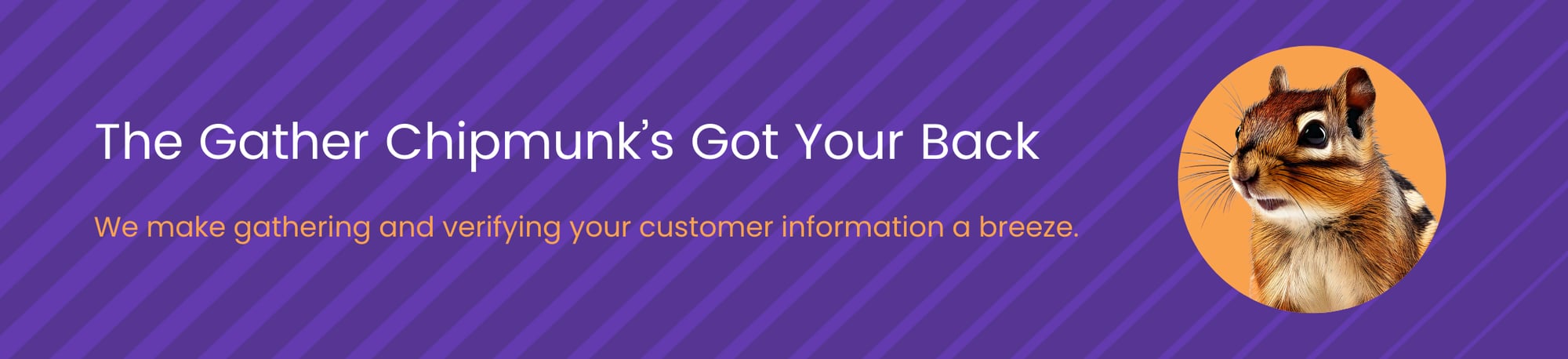 The Gather Chipmunk's Got Your Back: We make gathering and verifying your customer information a breeze.